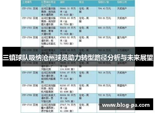 三镇球队吸纳沧州球员助力转型路径分析与未来展望