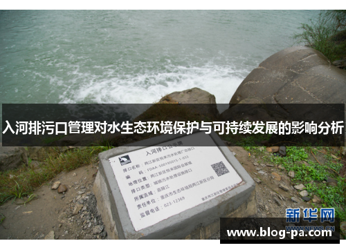 入河排污口管理对水生态环境保护与可持续发展的影响分析