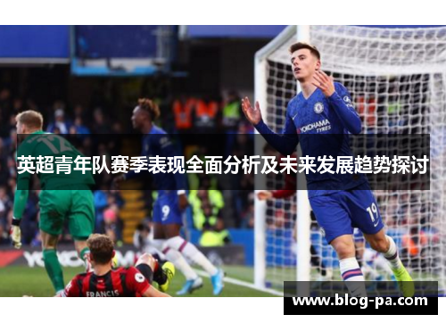 英超青年队赛季表现全面分析及未来发展趋势探讨