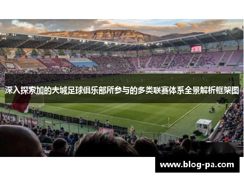 深入探索加的夫城足球俱乐部所参与的多类联赛体系全景解析框架图