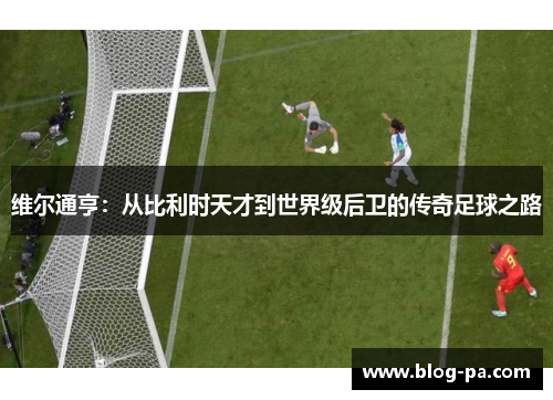 维尔通亨：从比利时天才到世界级后卫的传奇足球之路