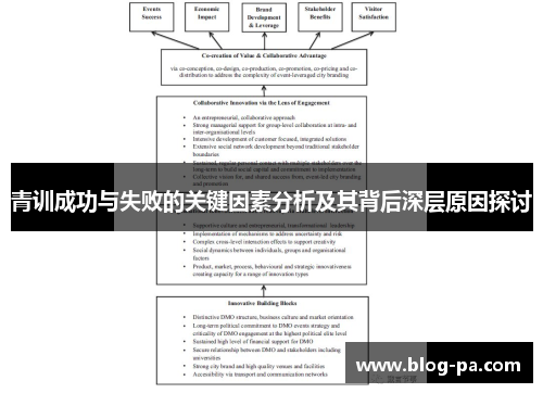 青训成功与失败的关键因素分析及其背后深层原因探讨