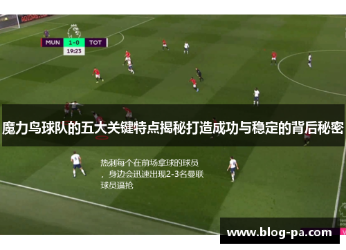 魔力鸟球队的五大关键特点揭秘打造成功与稳定的背后秘密