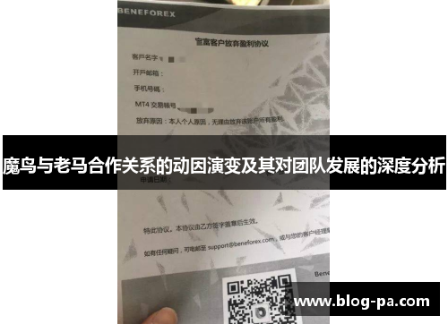 魔鸟与老马合作关系的动因演变及其对团队发展的深度分析